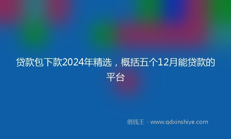 贷款包下款2024年精选，概括五个12月能贷款的平台
