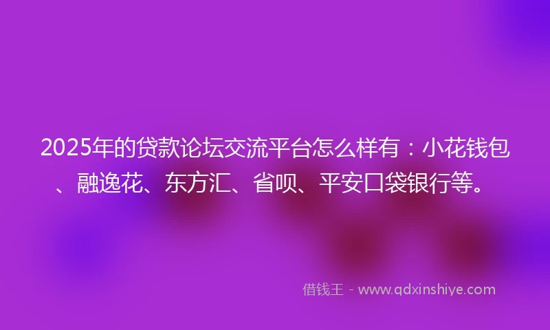 2025年的贷款论坛交流平台怎么样有：小花钱包、融逸花、东方汇、省呗、平安口袋银行等。