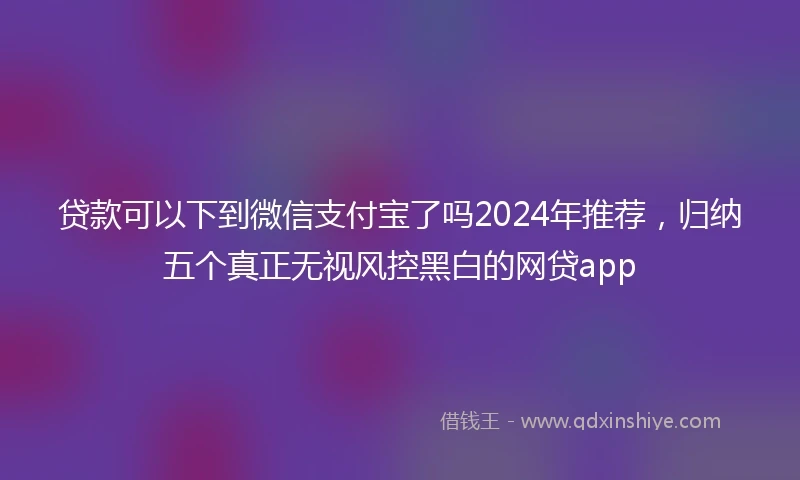 贷款可以下到微信支付宝了吗2024年推荐，归纳五个真正无视风控黑白的网贷app