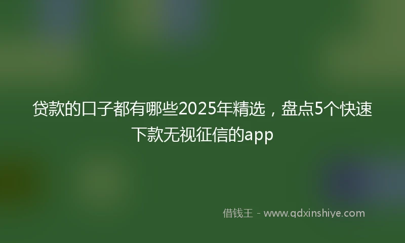 贷款的口子都有哪些2025年精选，盘点5个快速下款无视征信的app