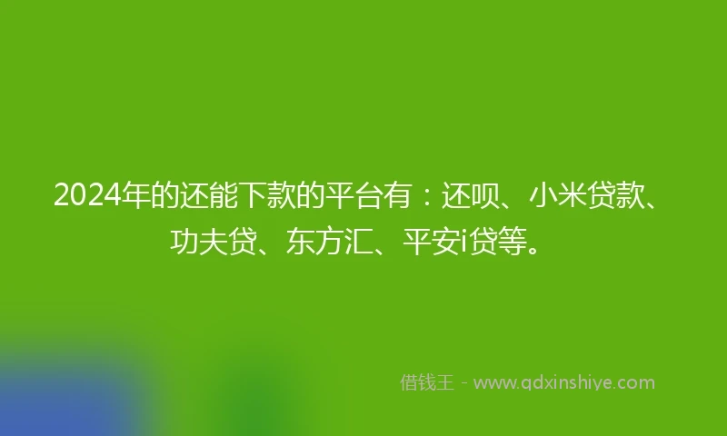 2024年的还能下款的平台有：还呗、小米贷款、功夫贷、东方汇、平安i贷等。