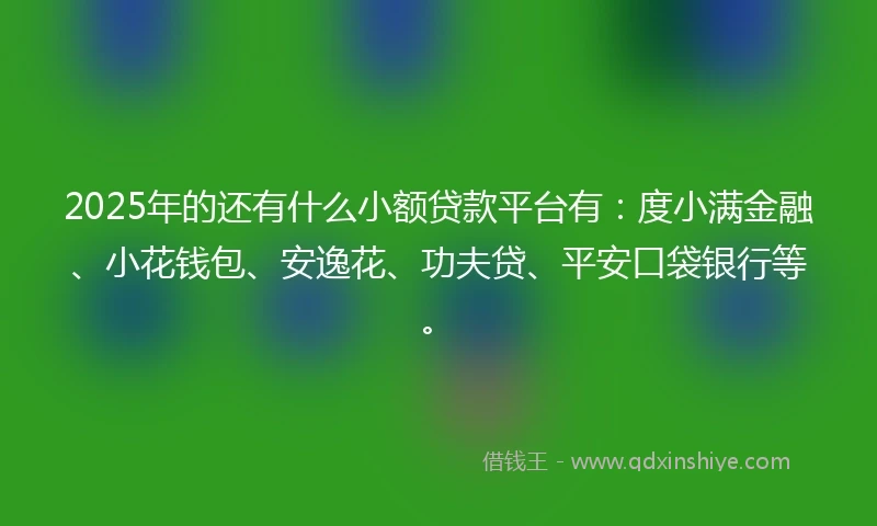 2025年的还有什么小额贷款平台有：度小满金融、小花钱包、安逸花、功夫贷、平安口袋银行等。