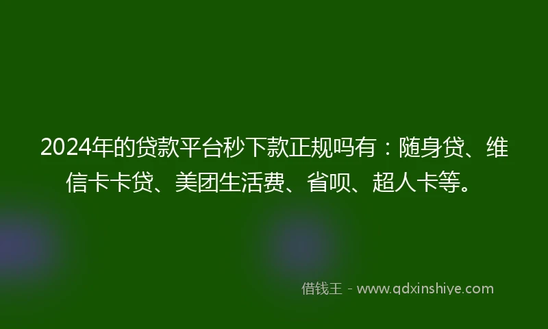 2024年的贷款平台秒下款正规吗有：随身贷、维信卡卡贷、美团生活费、省呗、超人卡等。