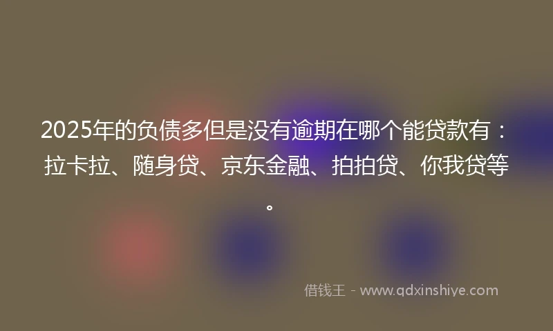 2025年的负债多但是没有逾期在哪个能贷款有：拉卡拉、随身贷、京东金融、拍拍贷、你我贷等。