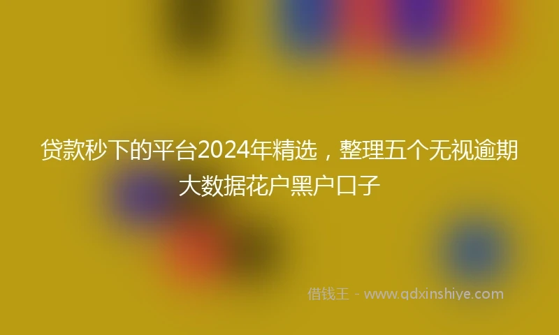 贷款秒下的平台2024年精选，整理五个无视逾期大数据花户黑户口子
