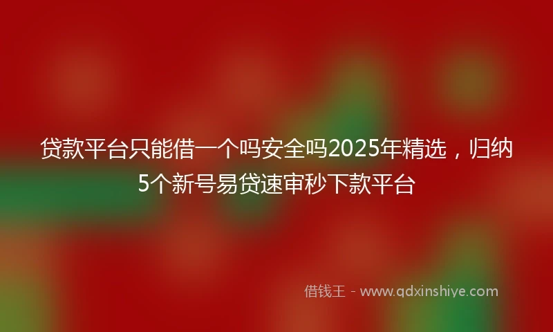 贷款平台只能借一个吗安全吗2025年精选，归纳5个新号易贷速审秒下款平台