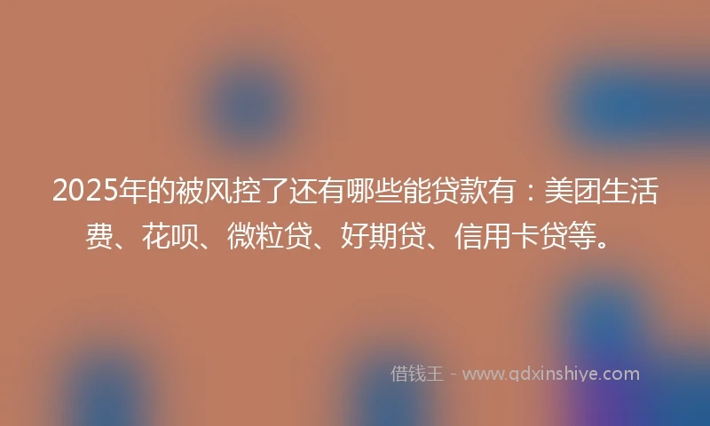 2025年的被风控了还有哪些能贷款有：美团生活费、花呗、微粒贷、好期贷、信用卡贷等。