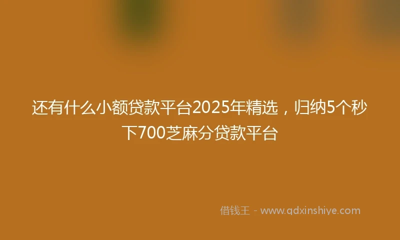 还有什么小额贷款平台2025年精选，归纳5个秒下700芝麻分贷款平台