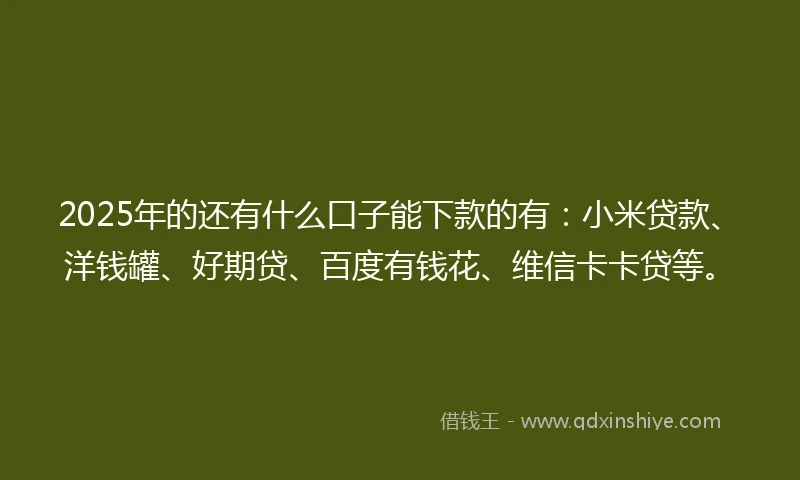 2025年的还有什么口子能下款的有：小米贷款、洋钱罐、好期贷、百度有钱花、维信卡卡贷等。