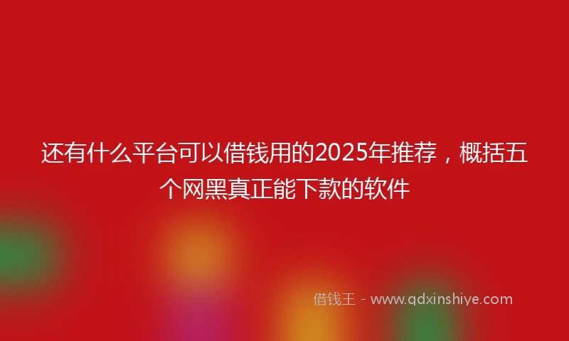 还有什么平台可以借钱用的2025年推荐，概括五个网黑真正能下款的软件
