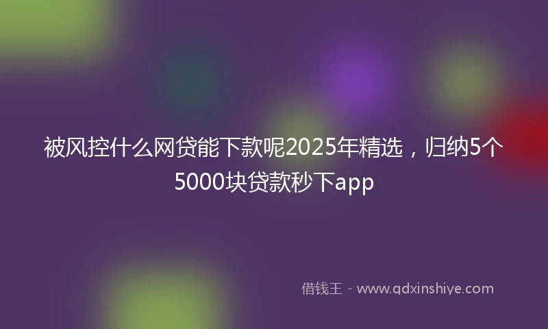 被风控什么网贷能下款呢2025年精选，归纳5个5000块贷款秒下app
