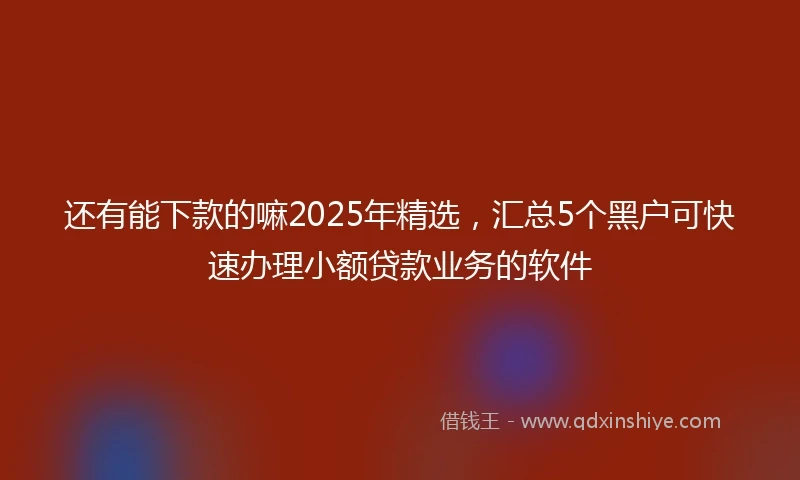 还有能下款的嘛2025年精选，汇总5个黑户可快速办理小额贷款业务的软件