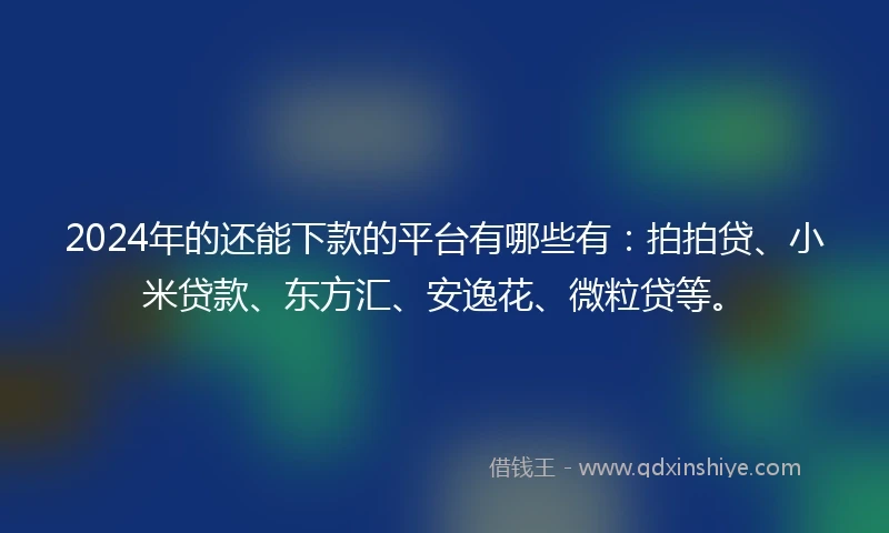 2024年的还能下款的平台有哪些有：拍拍贷、小米贷款、东方汇、安逸花、微粒贷等。