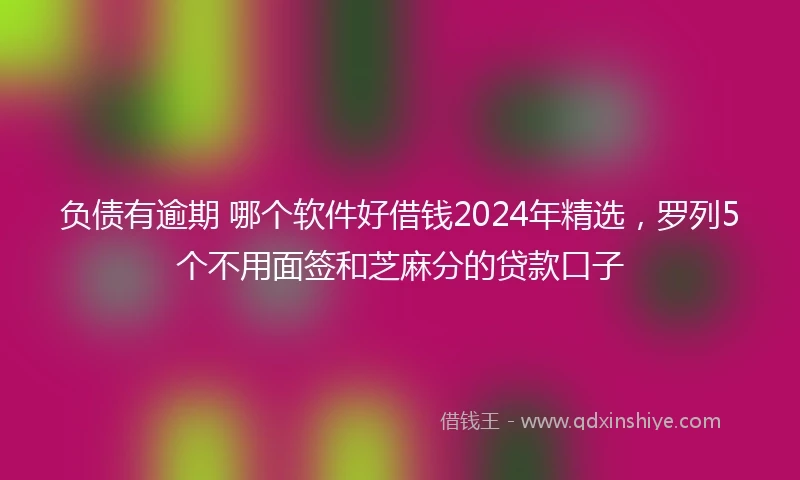 负债有逾期 哪个软件好借钱2024年精选，罗列5个不用面签和芝麻分的贷款口子