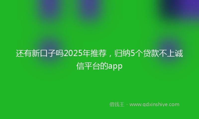 还有新口子吗2025年推荐，归纳5个贷款不上诚信平台的app