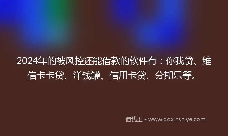 2024年的被风控还能借款的软件有：你我贷、维信卡卡贷、洋钱罐、信用卡贷、分期乐等。