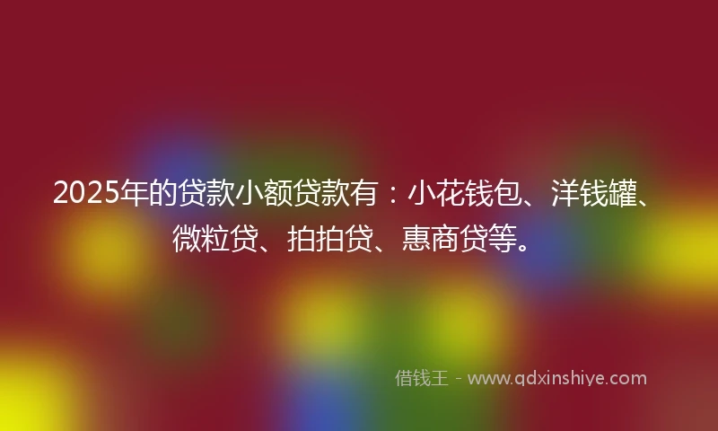 2025年的贷款小额贷款有：小花钱包、洋钱罐、微粒贷、拍拍贷、惠商贷等。