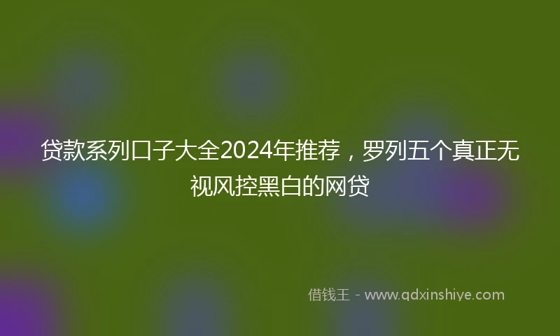 贷款系列口子大全2024年推荐，罗列五个真正无视风控黑白的网贷