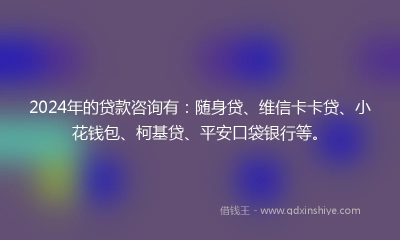 2024年的贷款咨询有：随身贷、维信卡卡贷、小花钱包、柯基贷、平安口袋银行等。