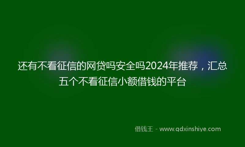 还有不看征信的网贷吗安全吗2024年推荐，汇总五个不看征信小额借钱的平台