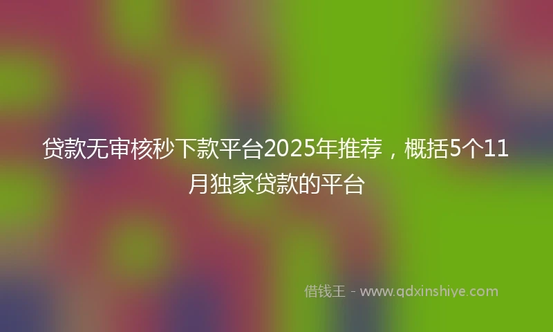 贷款无审核秒下款平台2025年推荐，概括5个11月独家贷款的平台