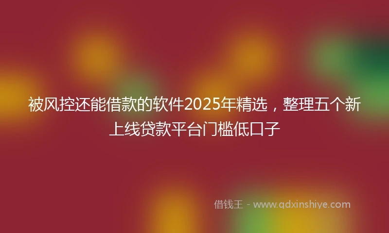 被风控还能借款的软件2025年精选，整理五个新上线贷款平台门槛低口子
