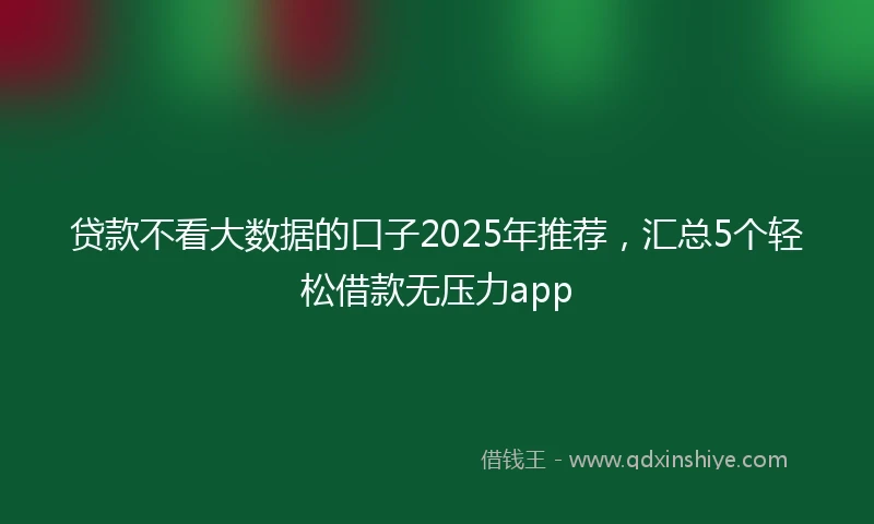 贷款不看大数据的口子2025年推荐，汇总5个轻松借款无压力app