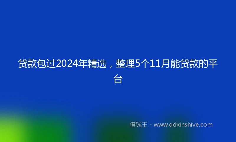 贷款包过2024年精选，整理5个11月能贷款的平台