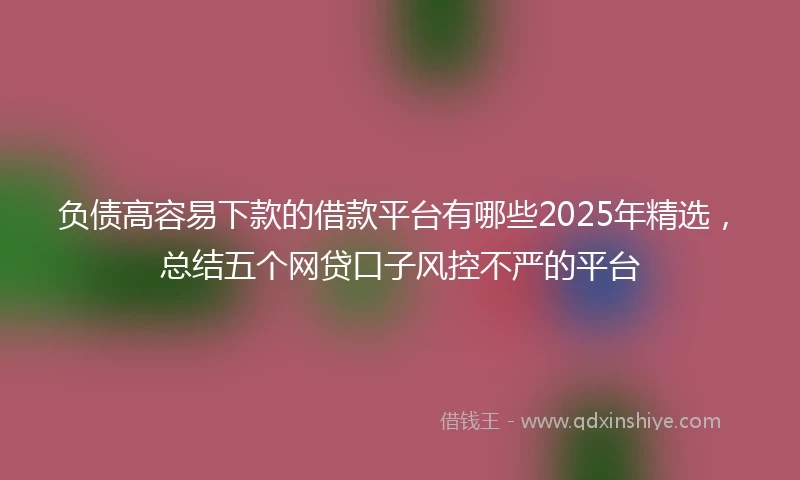 负债高容易下款的借款平台有哪些2025年精选，总结五个网贷口子风控不严的平台
