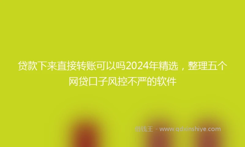 贷款下来直接转账可以吗2024年精选，整理五个网贷口子风控不严的软件