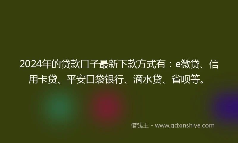 2024年的贷款口子最新下款方式有：e微贷、信用卡贷、平安口袋银行、滴水贷、省呗等。