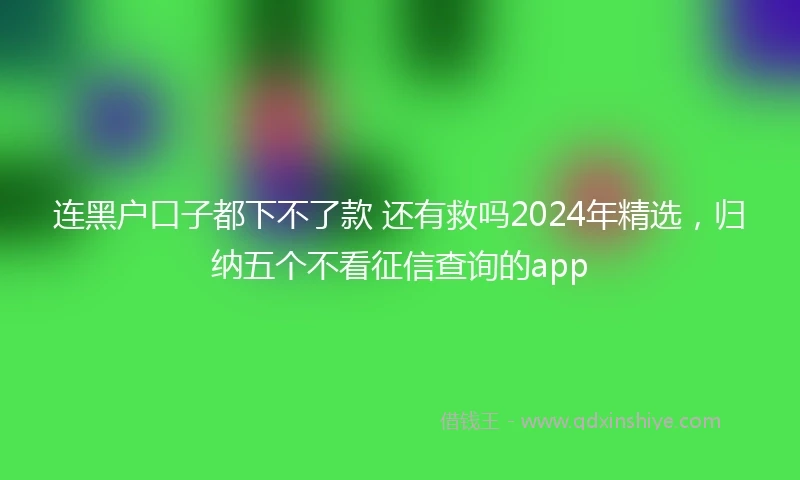 连黑户口子都下不了款 还有救吗2024年精选，归纳五个不看征信查询的app