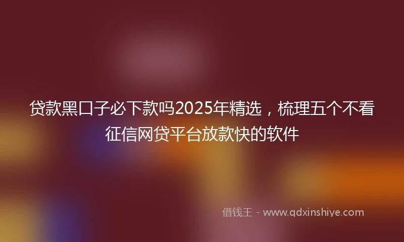贷款黑口子必下款吗2025年精选，梳理五个不看征信网贷平台放款快的软件