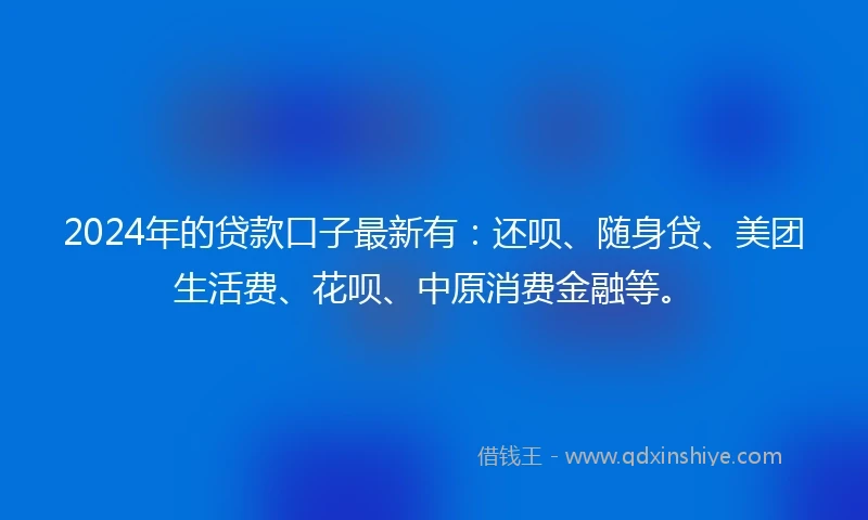2024年的贷款口子最新有：还呗、随身贷、美团生活费、花呗、中原消费金融等。