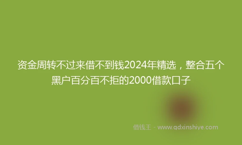 资金周转不过来借不到钱2024年精选，整合五个黑户百分百不拒的2000借款口子