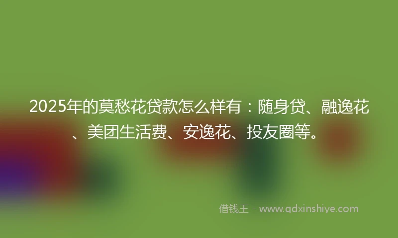 2025年的莫愁花贷款怎么样有：随身贷、融逸花、美团生活费、安逸花、投友圈等。