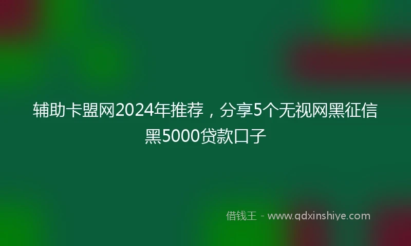 辅助卡盟网2024年推荐，分享5个无视网黑征信黑5000贷款口子