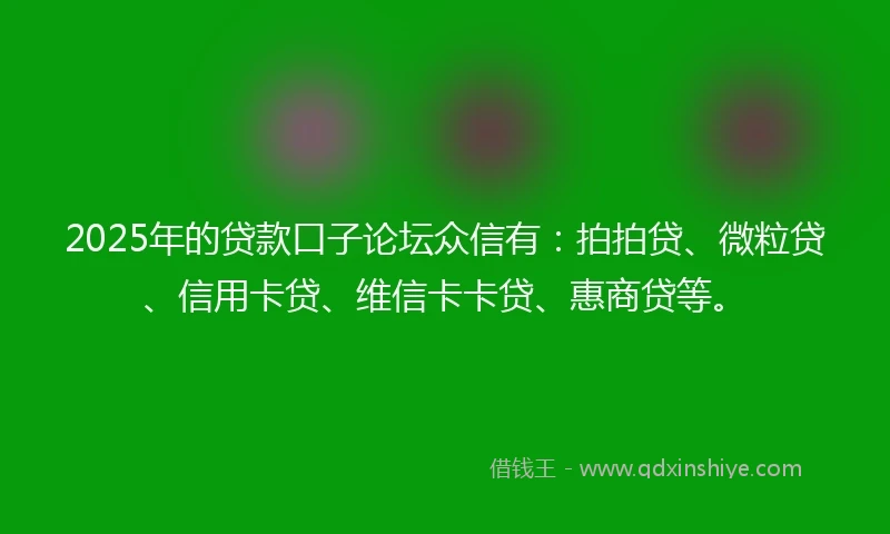 2025年的贷款口子论坛众信有：拍拍贷、微粒贷、信用卡贷、维信卡卡贷、惠商贷等。