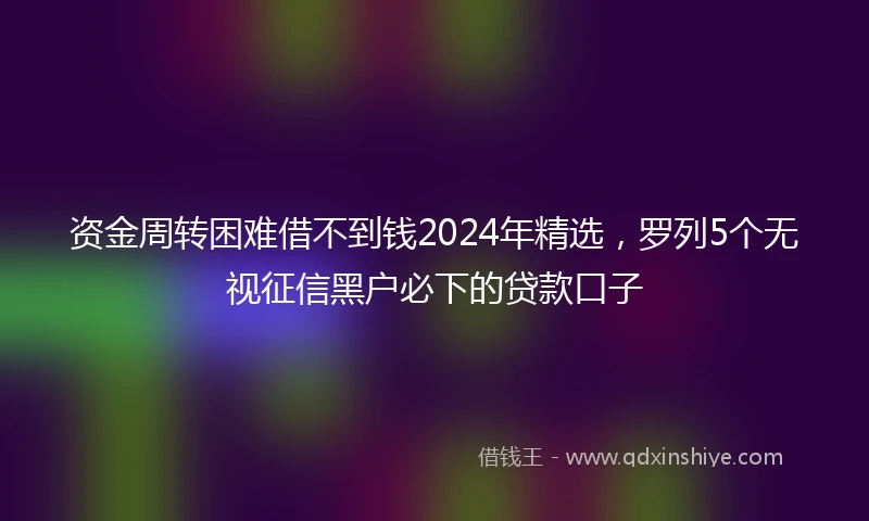 资金周转困难借不到钱2024年精选，罗列5个无视征信黑户必下的贷款口子