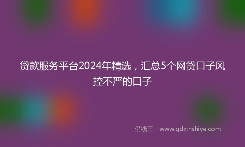 贷款服务平台2024年精选，汇总5个网贷口子风控不严的口子