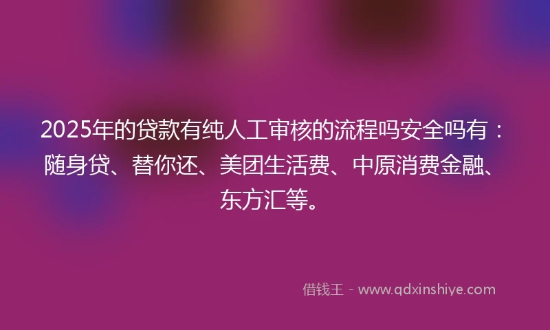 2025年的贷款有纯人工审核的流程吗安全吗有：随身贷、替你还、美团生活费、中原消费金融、东方汇等。