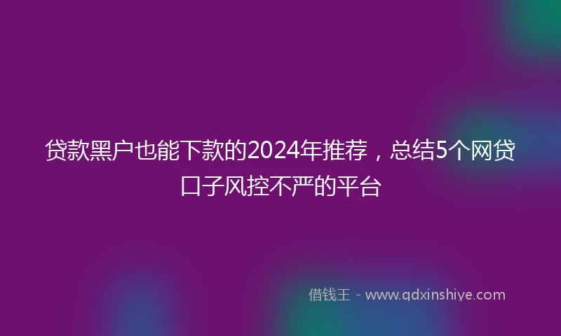 贷款黑户也能下款的2024年推荐，总结5个网贷口子风控不严的平台