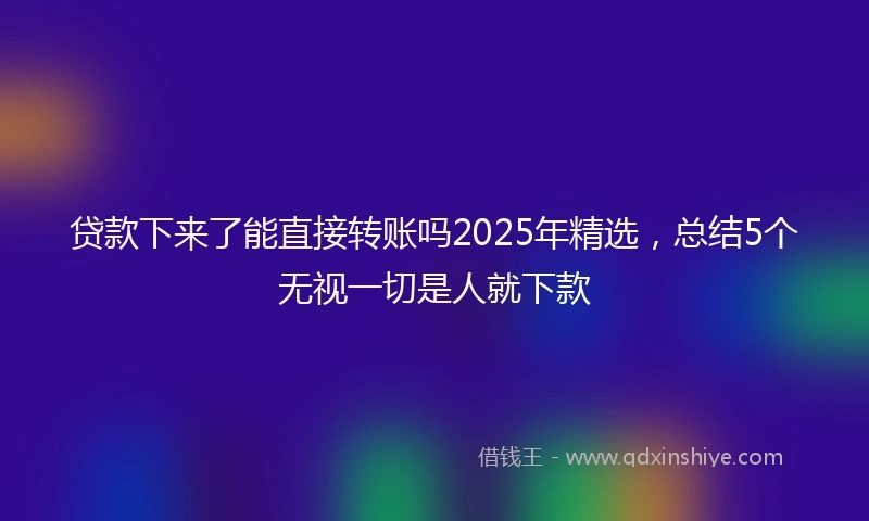 贷款下来了能直接转账吗2025年精选，总结5个无视一切是人就下款