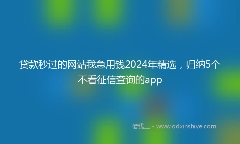 贷款秒过的网站我急用钱2024年精选，归纳5个不看征信查询的app