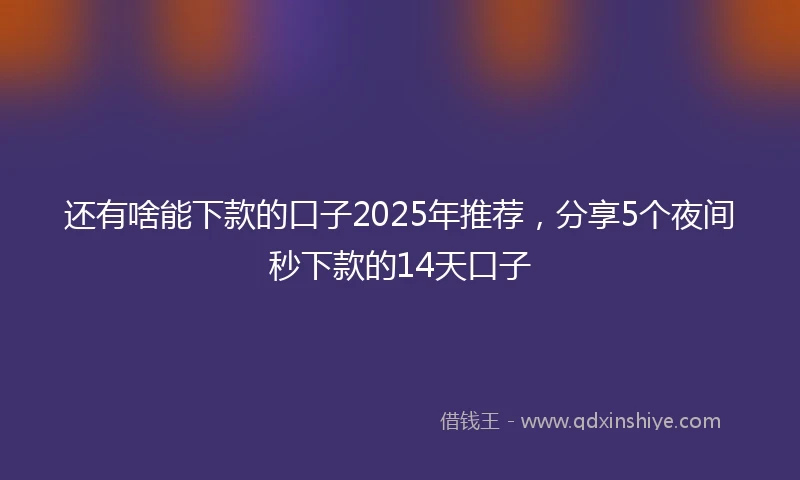 还有啥能下款的口子2025年推荐，分享5个夜间秒下款的14天口子