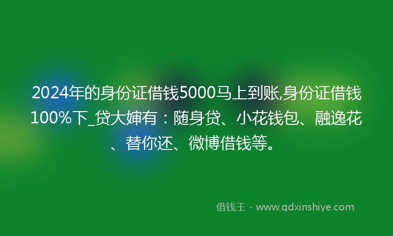 2024年的身份证借钱5000马上到账,身份证借钱100%下_贷大婶有：随身贷、小花钱包、融逸花、替你还、微博借钱等。