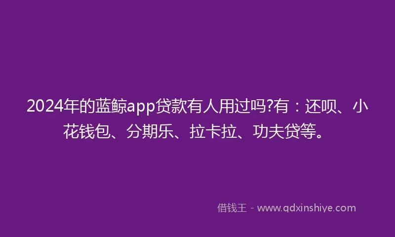 2024年的蓝鲸app贷款有人用过吗?有：还呗、小花钱包、分期乐、拉卡拉、功夫贷等。
