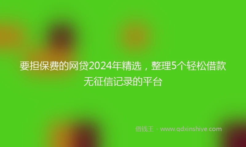 要担保费的网贷2024年精选，整理5个轻松借款无征信记录的平台