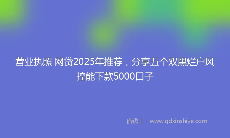 营业执照 网贷2025年推荐，分享五个双黑烂户风控能下款5000口子