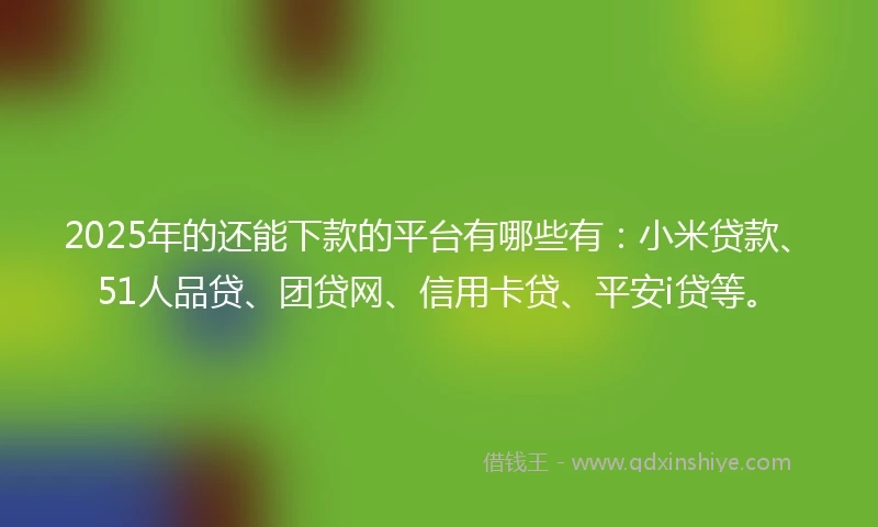 2025年的还能下款的平台有哪些有：小米贷款、51人品贷、团贷网、信用卡贷、平安i贷等。